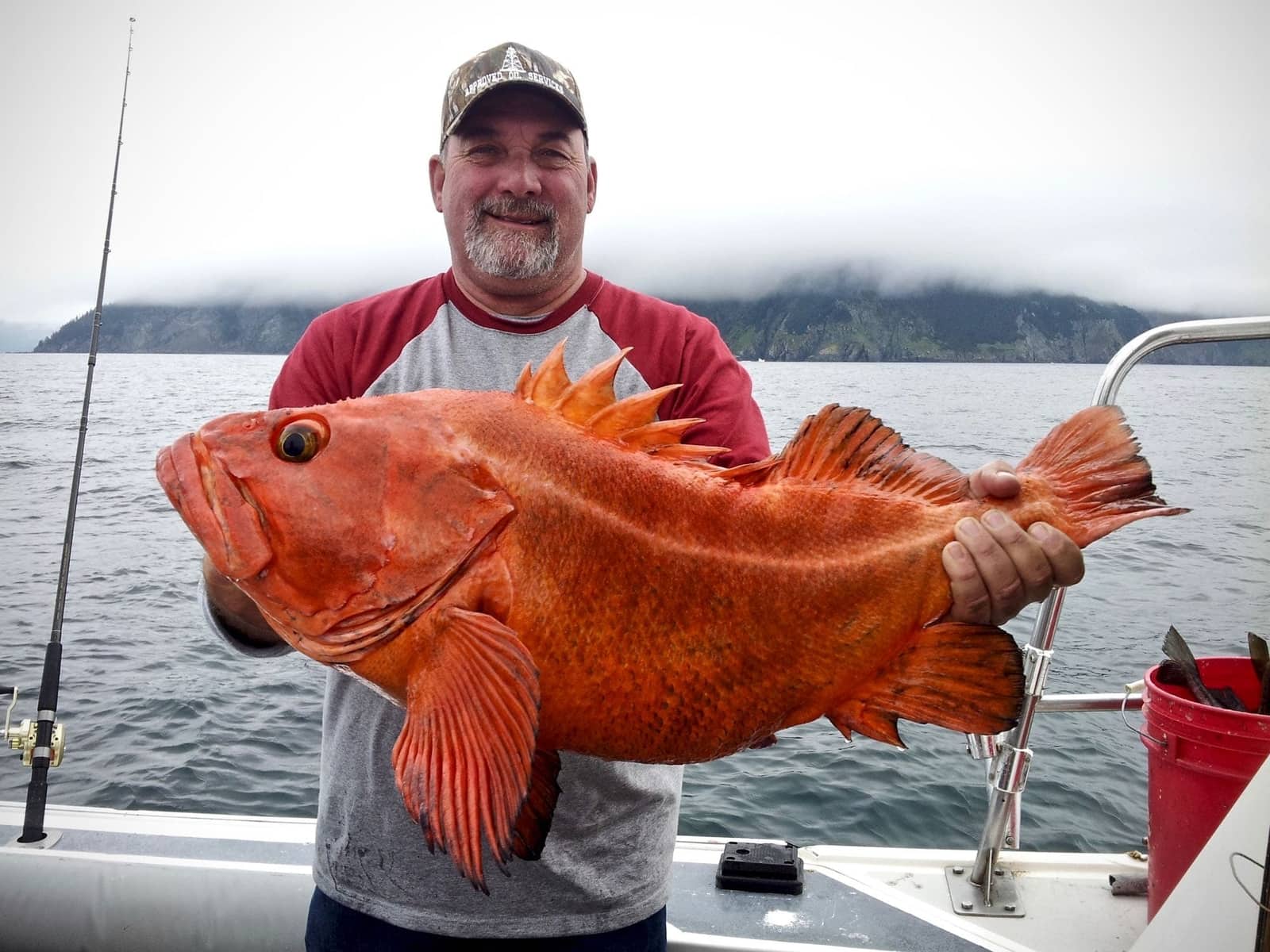 DeepStrike Sportfishing Alaska Rockfish Fishing Trips